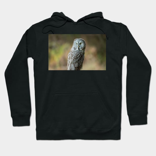 Great Grey Owl Portrait Hoodie by JeffreySchwartz